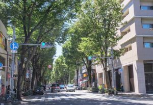 見上愛　家族構成