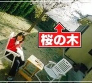 かなで　家族構成