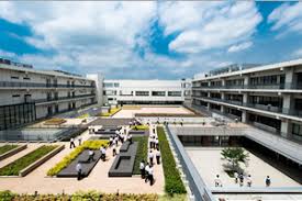 見上愛　家族構成