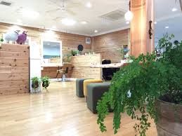 観月あこ　家族構成