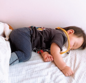 木竜麻生　家族構成