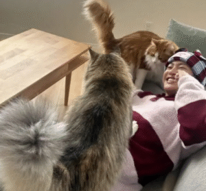 三山凌輝　家族構成