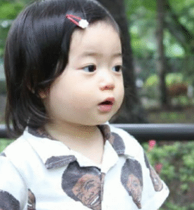 白鳥玉季　家族構成