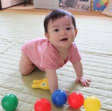 白鳥玉季　家族構成