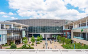 森田望智　家族構成